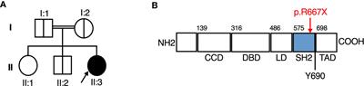 Life-Threatening Influenza, Hemophagocytic Lymphohistiocytosis and Probable Vaccine-Strain Varicella in a Novel Case of Homozygous <mark class="highlighted">STAT2</mark> Deficiency